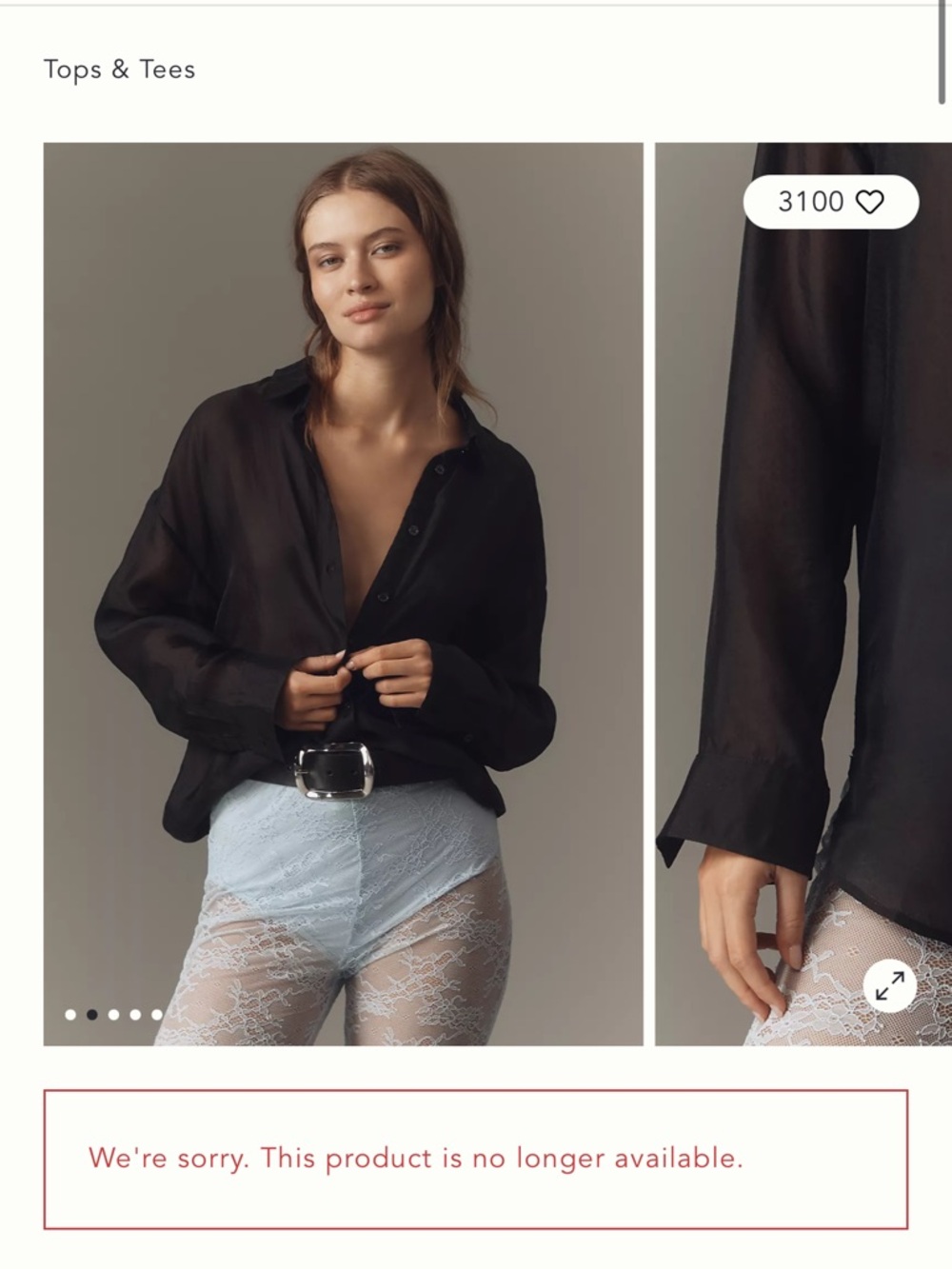 NWT By Anthropologie Sheer Long-Sleeve Buttondown